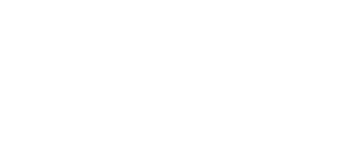 Boat Reveals logo